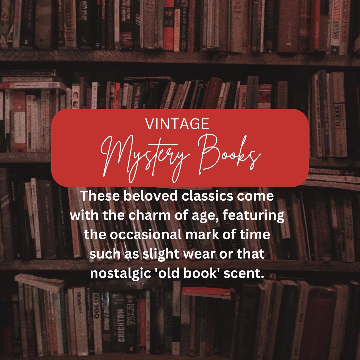 Blind Date with a Book | Curated Mystery Book Gift | Unique Literary Experience | Thrifted & Vintage Book Surprise